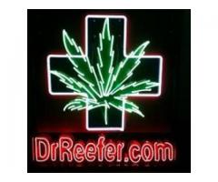 Dr. Reefer